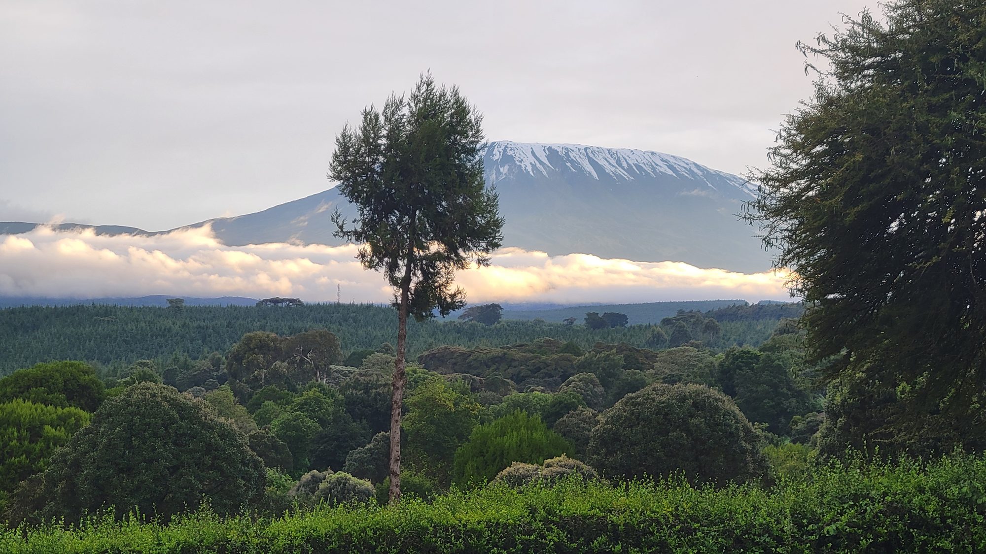 Wide landscape from the Brazil album: forest canopy in the foreground with a high ridgeline and clouds beyond