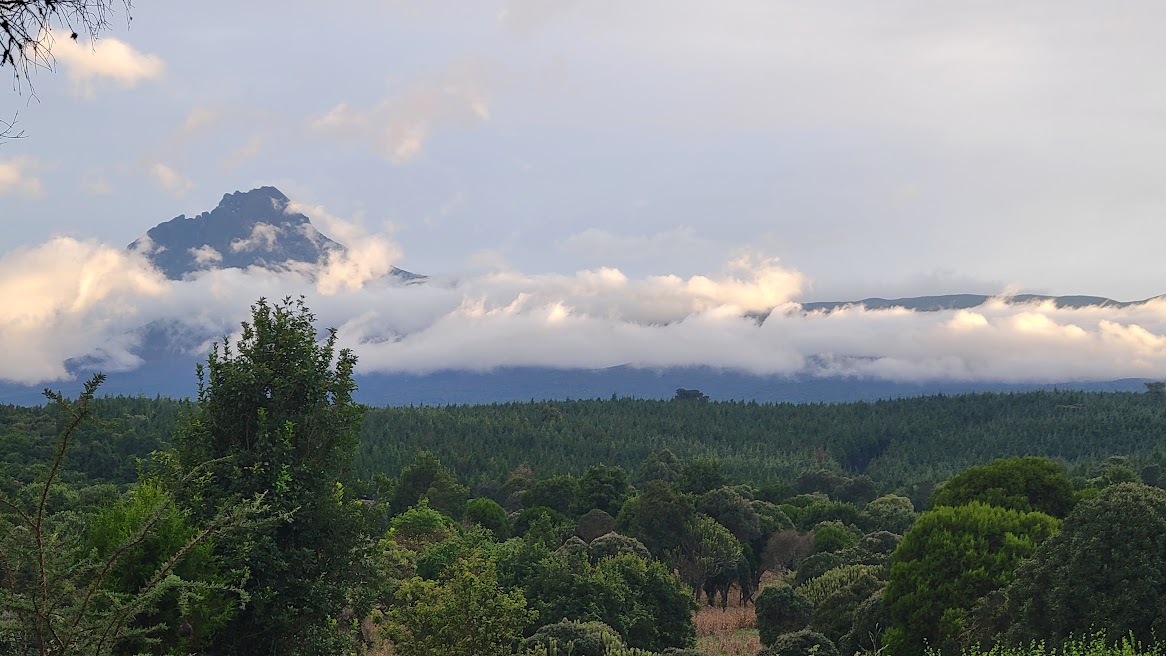 Jagged mountain peak above a thick white cloud layer and dense green forest in Kenya